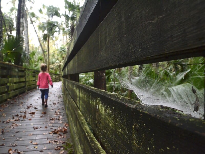 Proposals to slash property taxes would hit Oviedo, Winter Springs especially hard