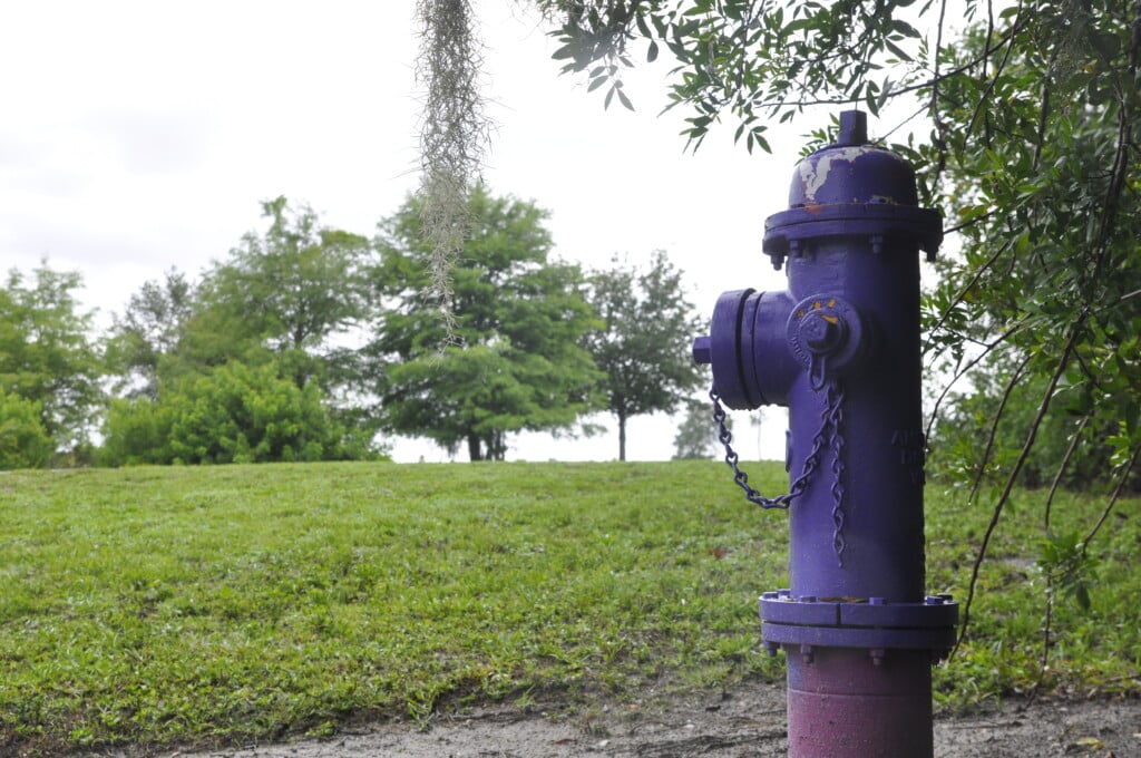 fire hydrant