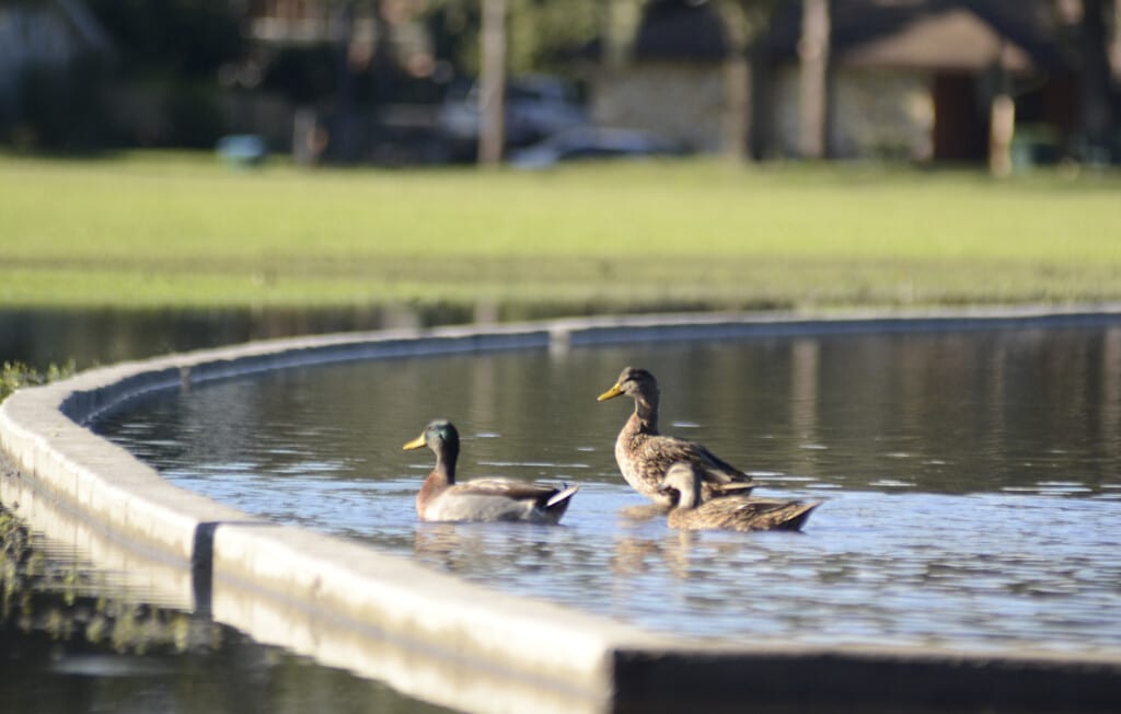 Winter Springs combine boards parks Trotwood Park