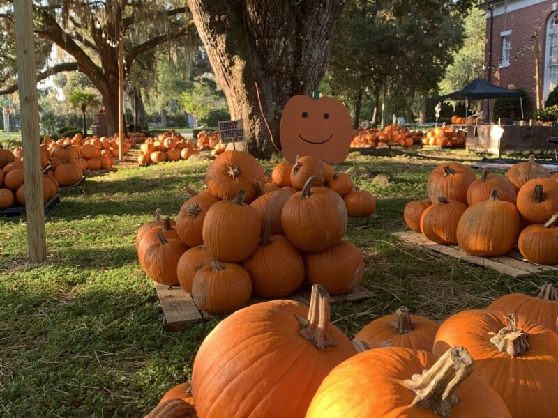 fall festivals pumpkin FUMC