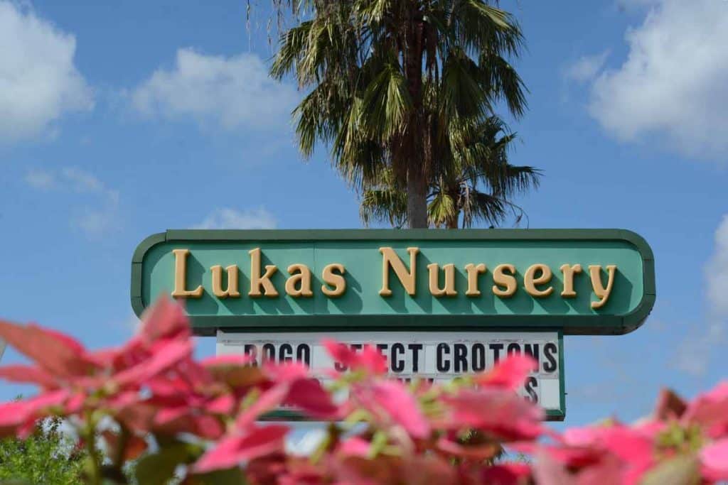 An image of Lukas Nursery.