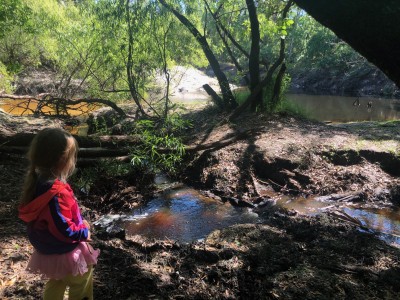 Natural lands Seminole County Yarborough