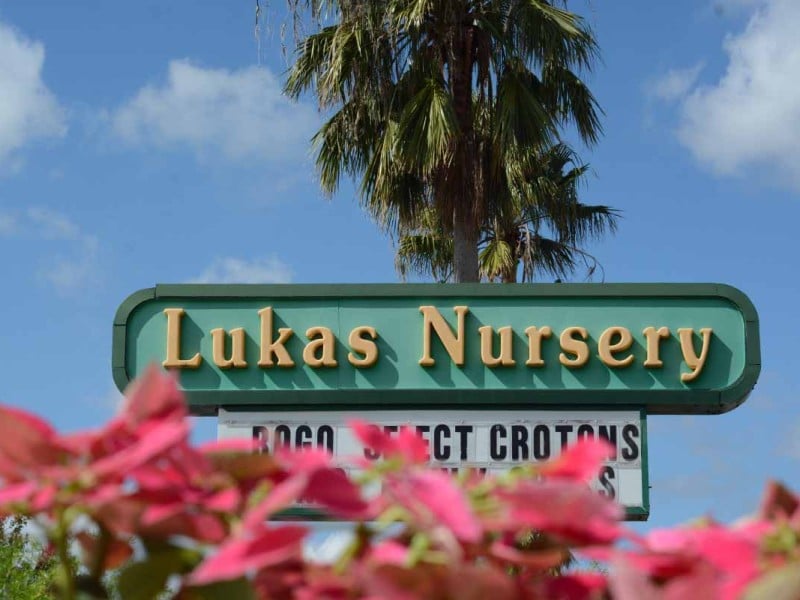 Lukas Nursery's plant propagation class is this Sunday.