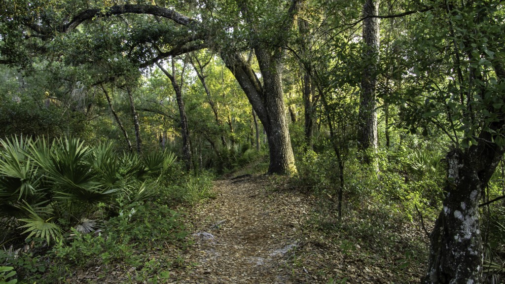 Florida Wildlife Corridor