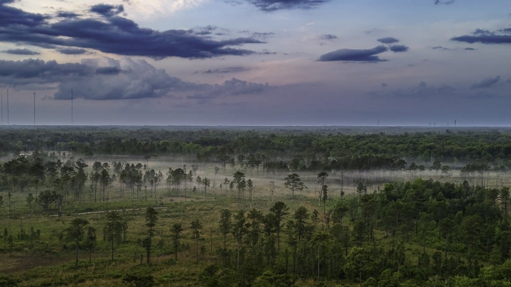 Yahoo Trail Florida Wildlife Corridor